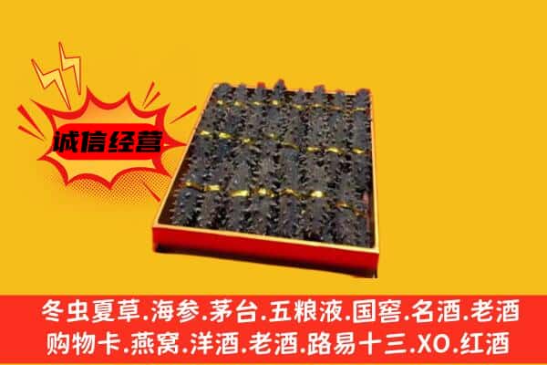 湛江遂溪县回收海参